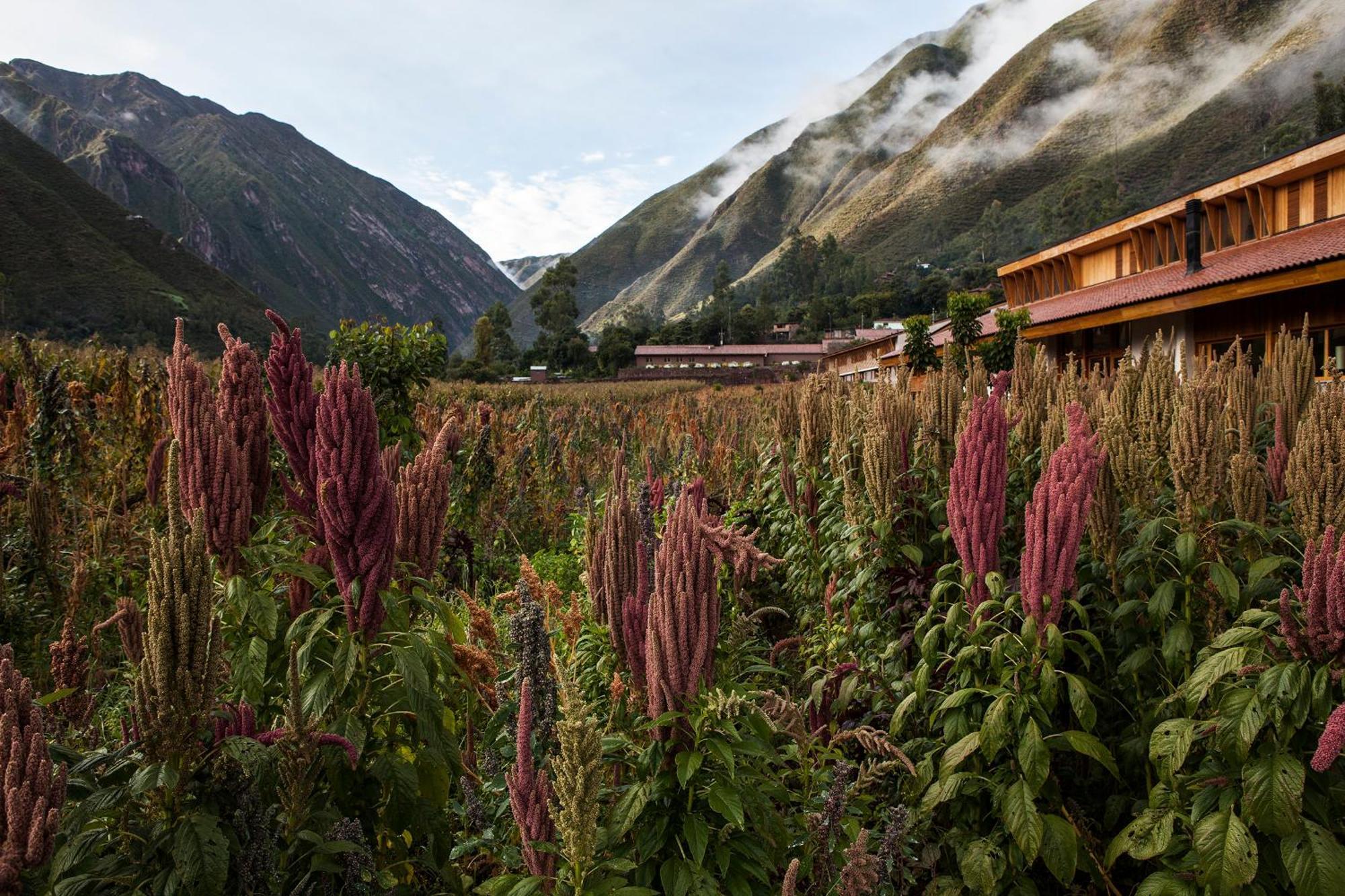Explora Valle Sagrado Urubamba Extérieur photo